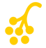 IAS_ICONES_V2_Prancheta 1_edited.png