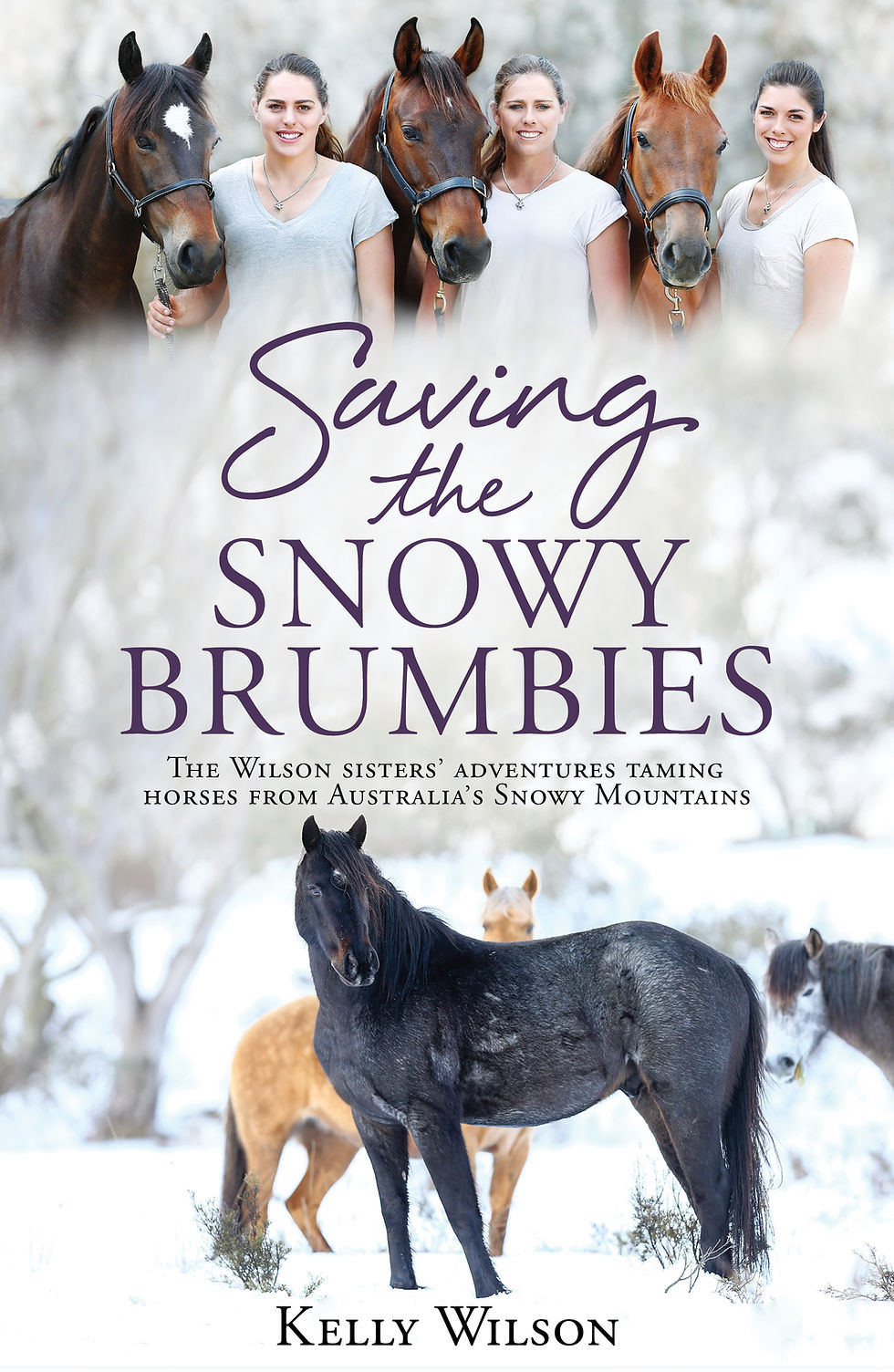 saving the snowy brumbies