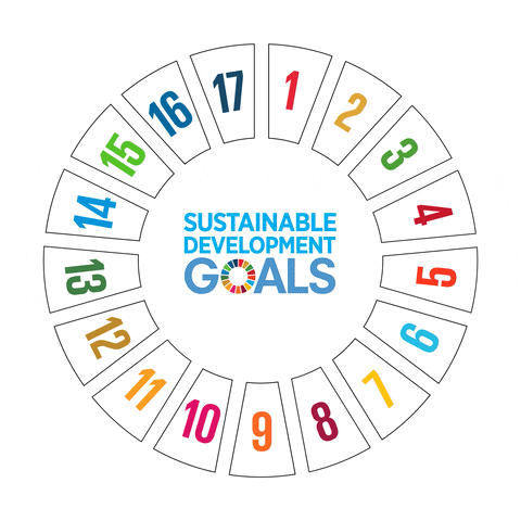 sdgs.gif