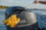 drying a boat motor