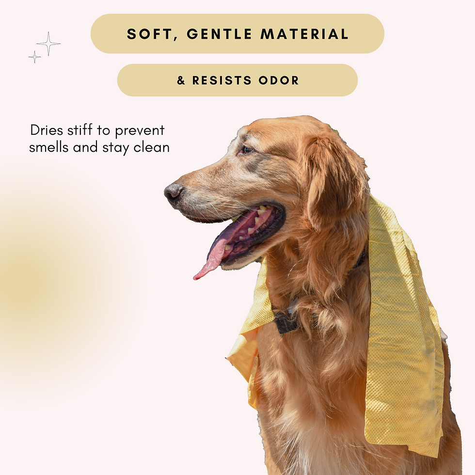 Thumbnail: HydroSwipe for Dogs