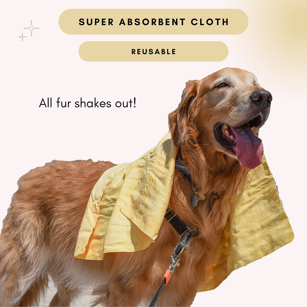 Thumbnail: HydroSwipe for Dogs