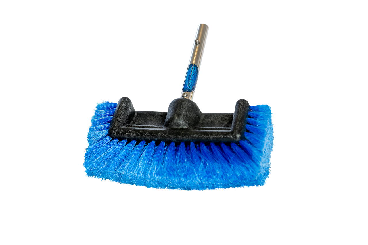 Big Bird Brush (Medium)