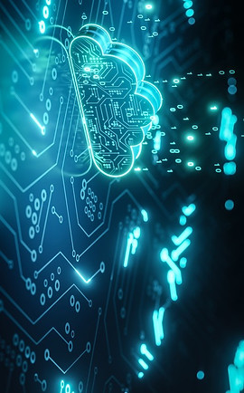 model & simulation_edited.jpg