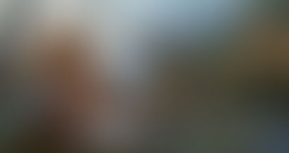 Are Animals "Ensouled"?