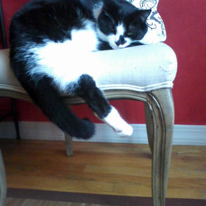 Healing Highlights of 2019