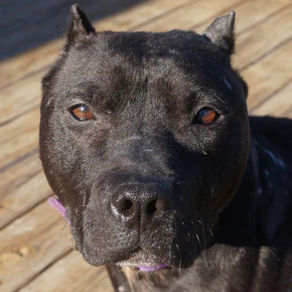 Teaching Us To Pay Attention