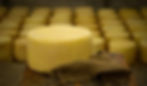 Varios quesos gourmet en la cava