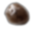 Sesame Boba