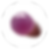 purple sweet potato boba