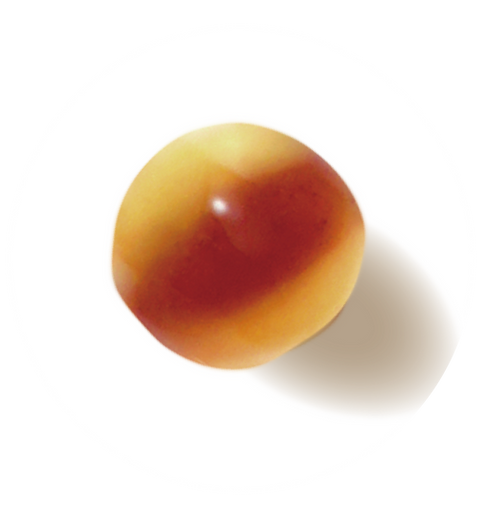 A single, round candy with brown and yellow colors in a white circle.