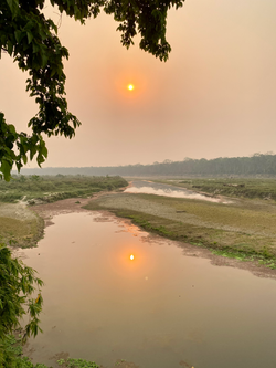 20210326_013927493_iOS (1)