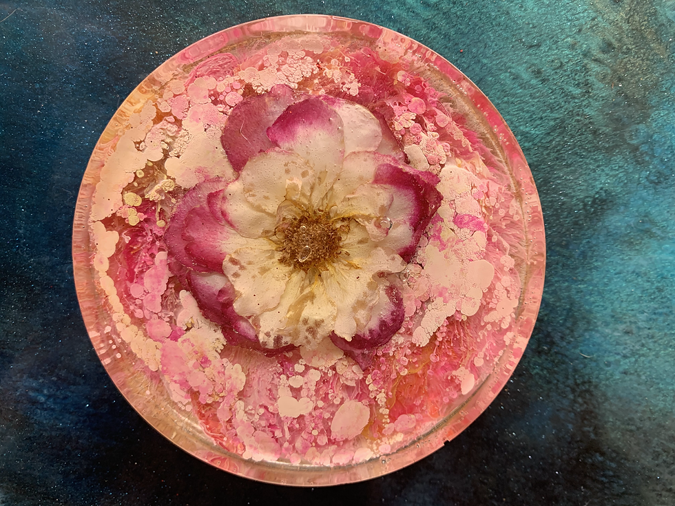 Pink Rose Coaster