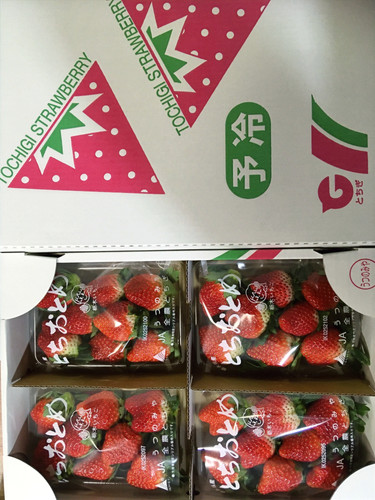 とちおとめ4パック | bioinaba