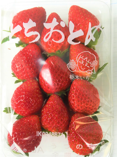 とちおとめ4パック | bioinaba