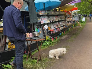 Brentford Canal Festival