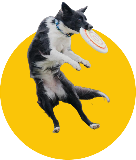 whatwedo_img001.png
