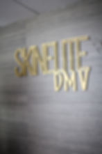 Skinelite DMV