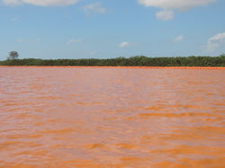 materia-mariana-4