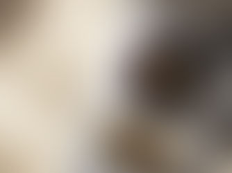 Civil Litigation Law Firm for Property Disputes India