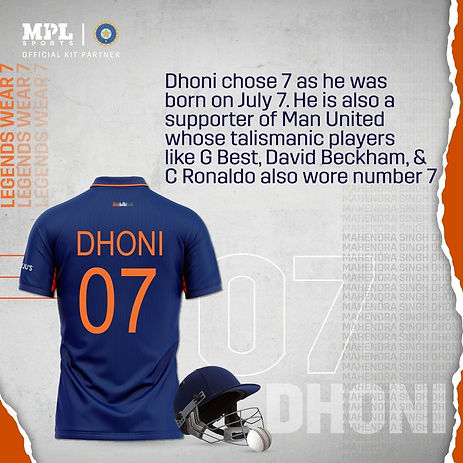 [image] - 5456348.jpeg