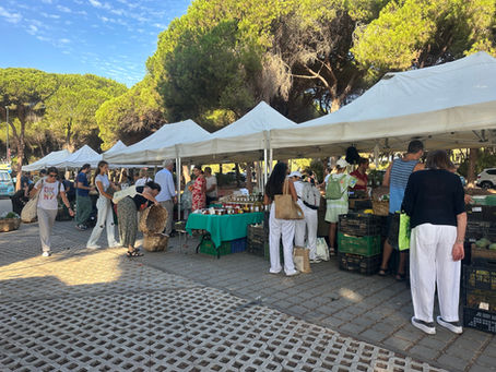 photo of the elviria farmers market