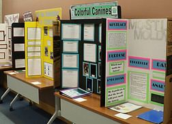 Science Fair.jpg