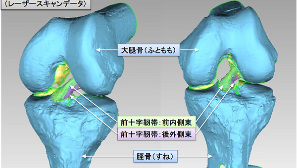 Sports01.png