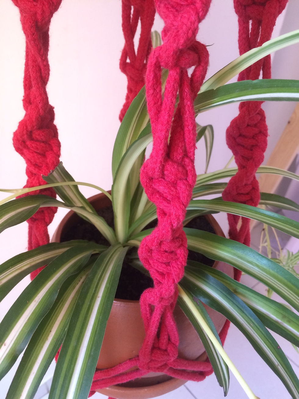 Miniatura: Clásico (4 soportes) G