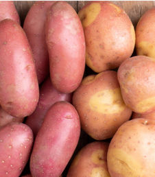 Pommes De Terre Et Ulcères, Un Remède Naturel Contre Les Ulcères D'estomac