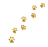 Villa Natcat garderie chats hauts de france