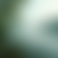 Reflecting on the Week: Achievements and Areas for Growth