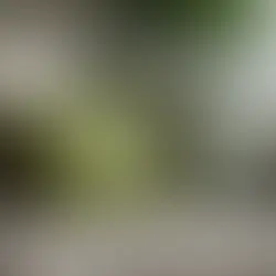 Uncovering the Quiet Influences: Identifying and Managing Daily Triggers