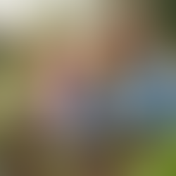 Creating Meaningful Seasonal Traditions with Your Children