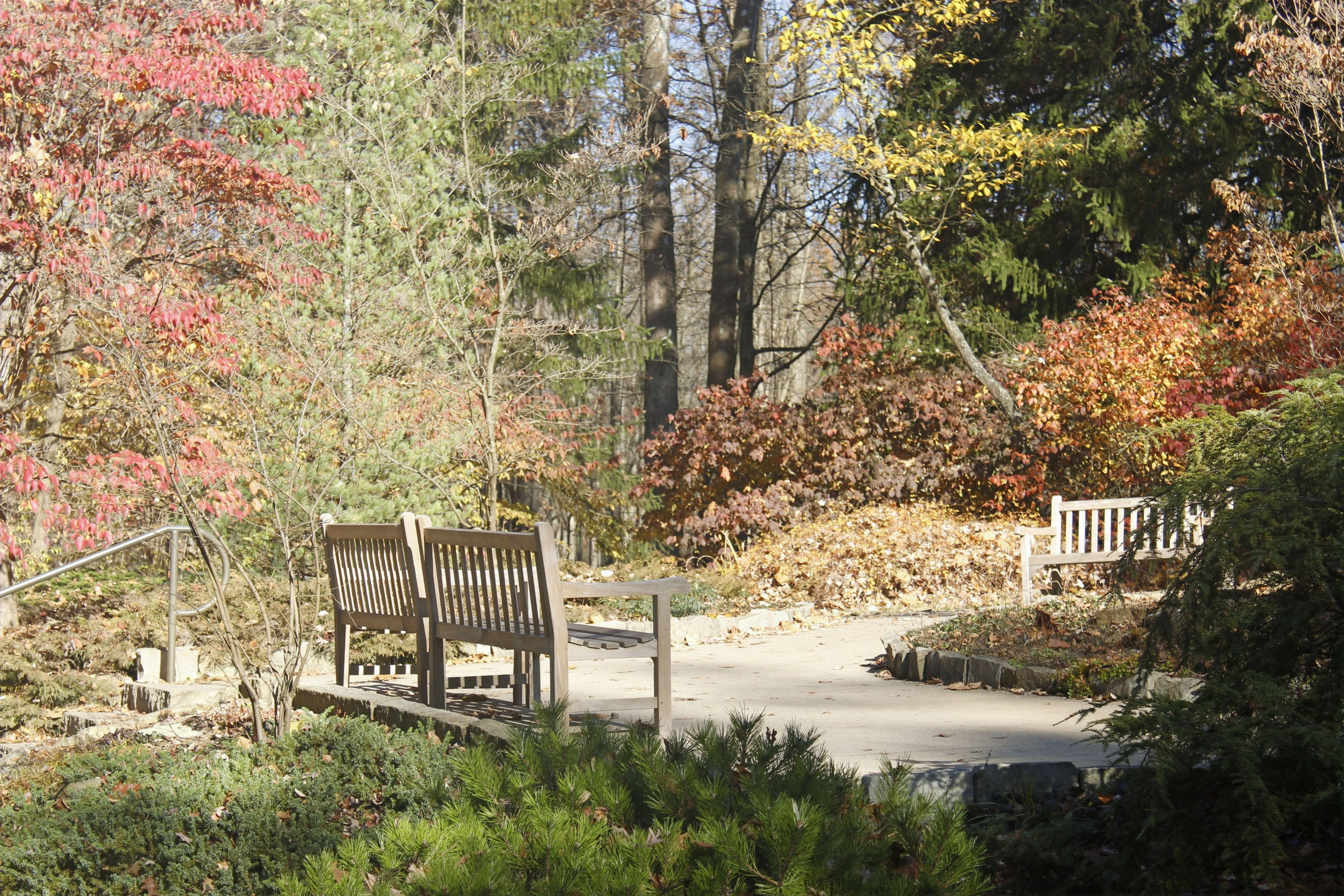 Natural Delight Seat in the Park 2