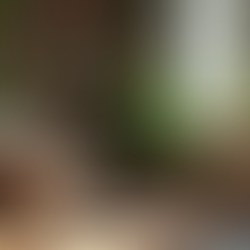 Creating a Nurturing Home Environment for Emotional Healing and Wellbeing