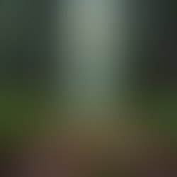 Best-Kept Self-Care Traditions: A Global Guide to Amplifying Your Wellness