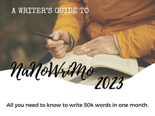 NaNoWriMo 2023