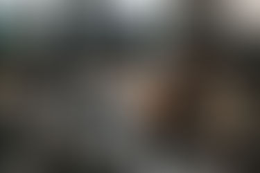 Membership Updates 2026