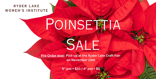 2025 Poinsetta sale