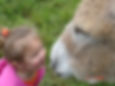 Zoeyllamasanddonkeys005