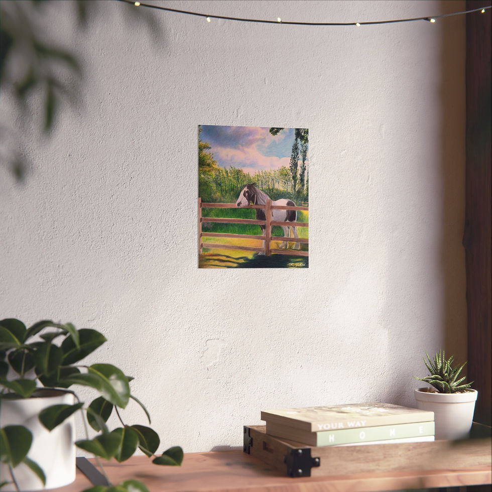 Thumbnail: Horse In A Sunlit Meadow - Fine Art Print