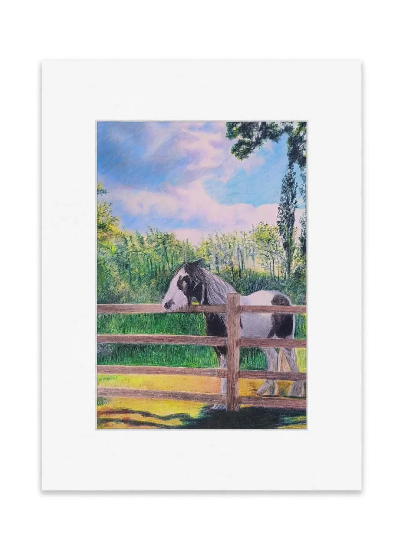 Horse In A Meadow - Signed Print