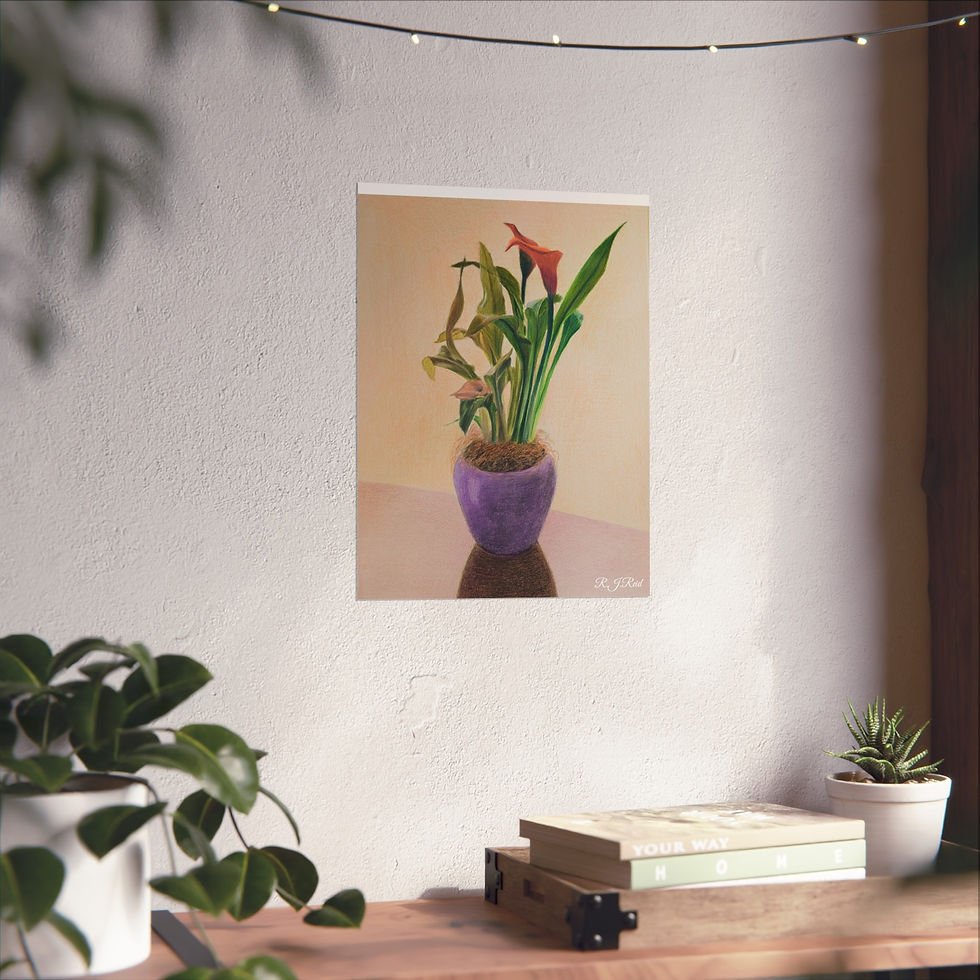 Thumbnail: Fine Art Print —  Calla Lily In Spring