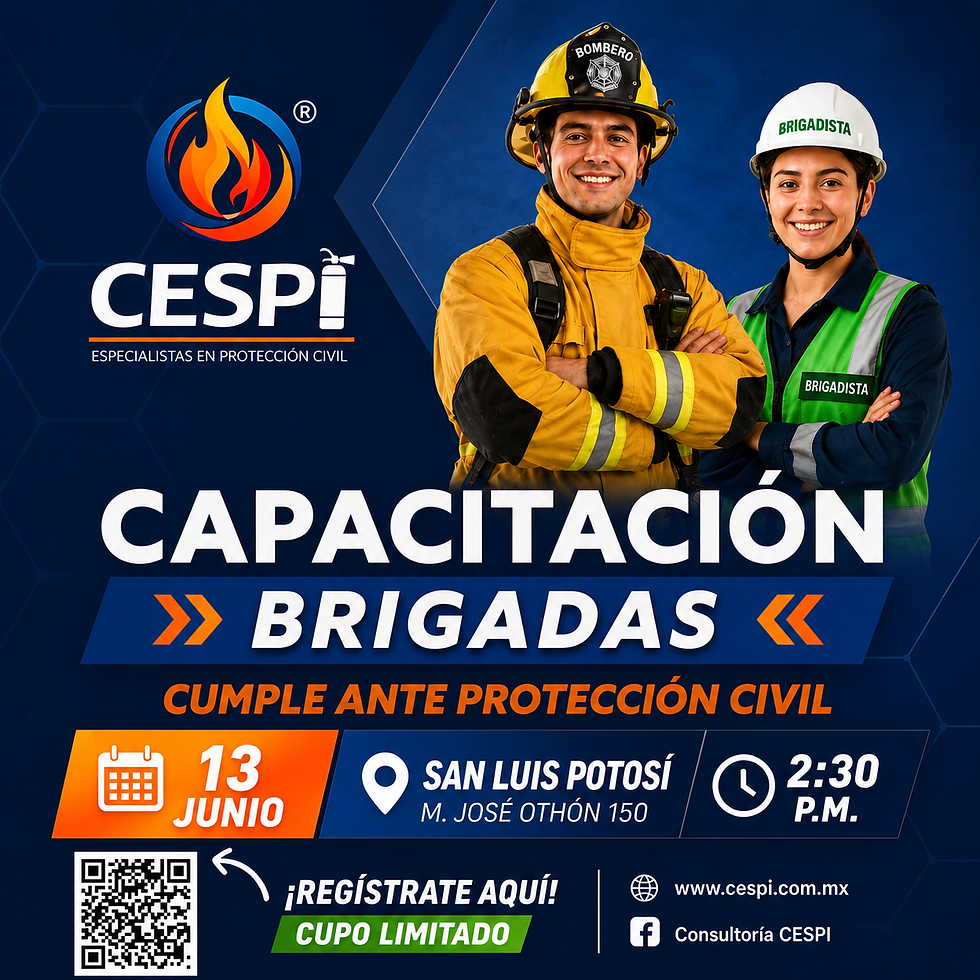 Capacitación de brigadas (SLP)