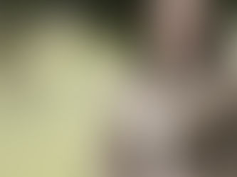 Jungbauernobfrau Carina Reiter: Akzente setzen und Zukunft gestalten