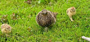 080721_742_edited.jpg