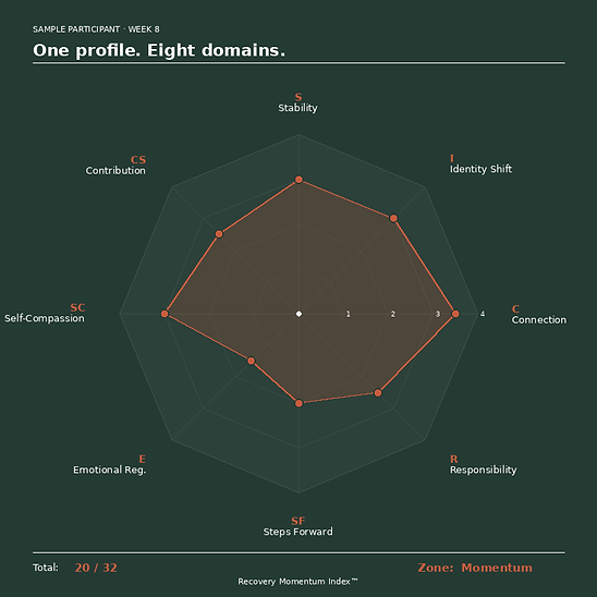 RMI_Radar_Chart_1.png