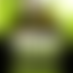 ROME STREETZ & DARINGER (Griselda Records) live @ LMNzh Jam