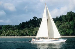 catamaranCoastalAdventure-35.jpg